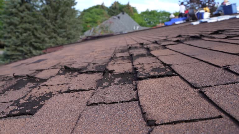  Kermit, TX Roofing Pros